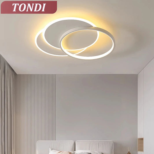 LED Home Lighting Ceiling Lamp For Living Room Bedroom Dining Room Kitchen Modern Room Decoration Hall Lighting Indoor Lighting