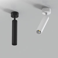 LED Ceiling Light Clothing Store Spotlight Restaurant Coffee Shop Decorative Light Kitchen Bedroom Ceiling Indoor Lighting